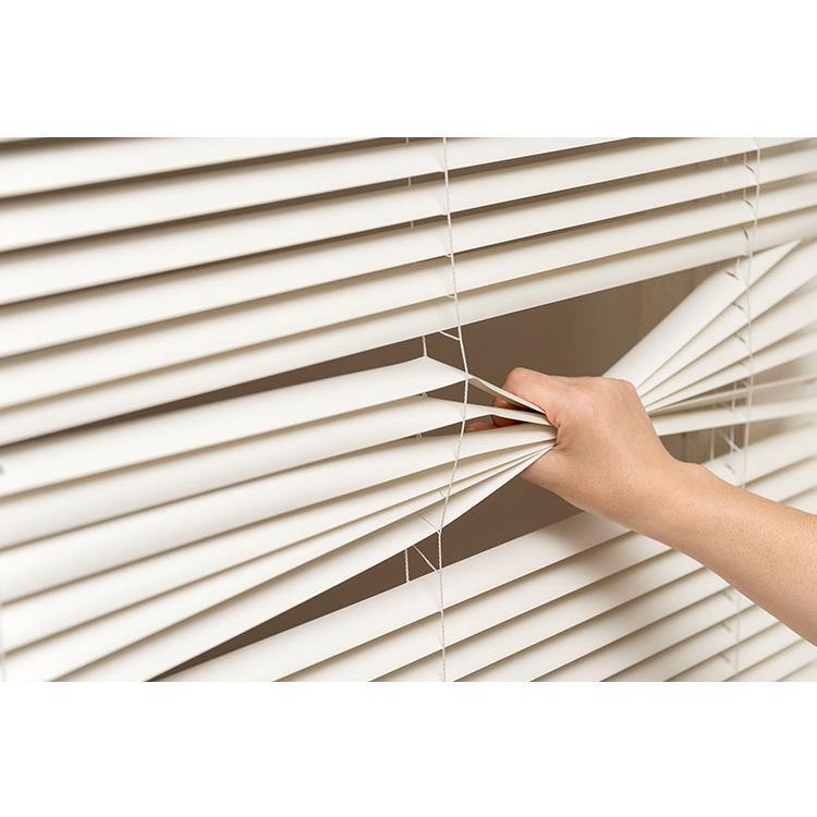 フレキシブラインド25 165×98cm ブラインド カーテンレール 取付可能