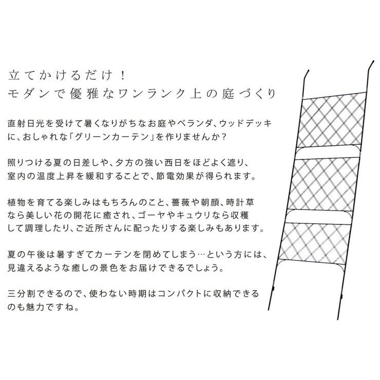 アイアン製グリーンカーテン Argyle アーガイル カーテン グリーンカーテン 菜園 ガーデン 栽培 ガーデニング アンティーク 代引不可の画像