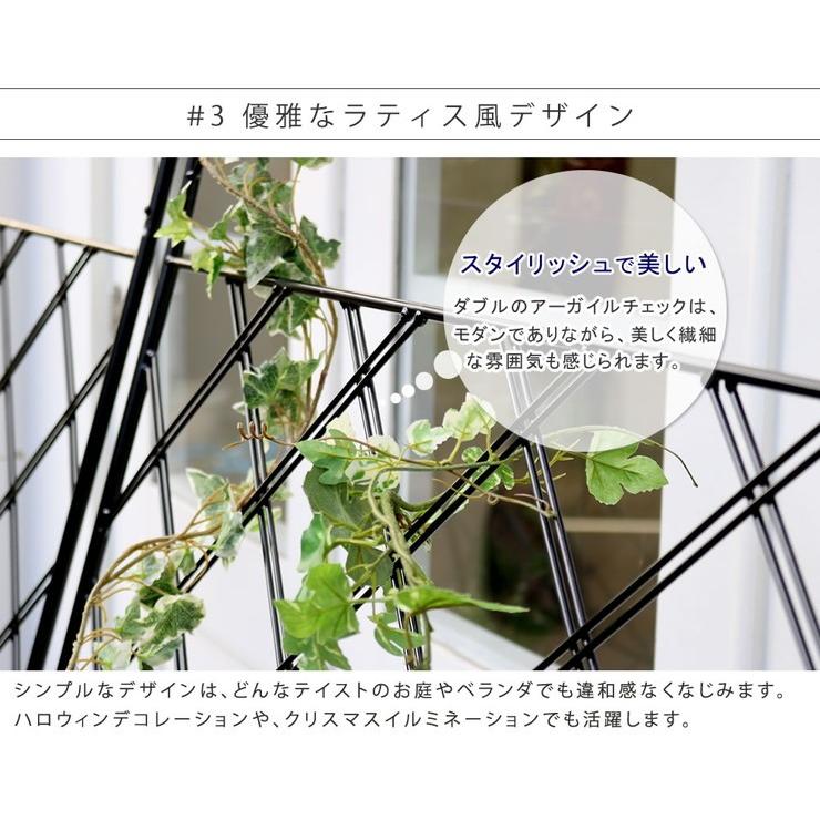 アイアン製グリーンカーテン Argyle アーガイル カーテン グリーンカーテン 菜園 ガーデン 栽培 ガーデニング アンティーク 代引不可の画像