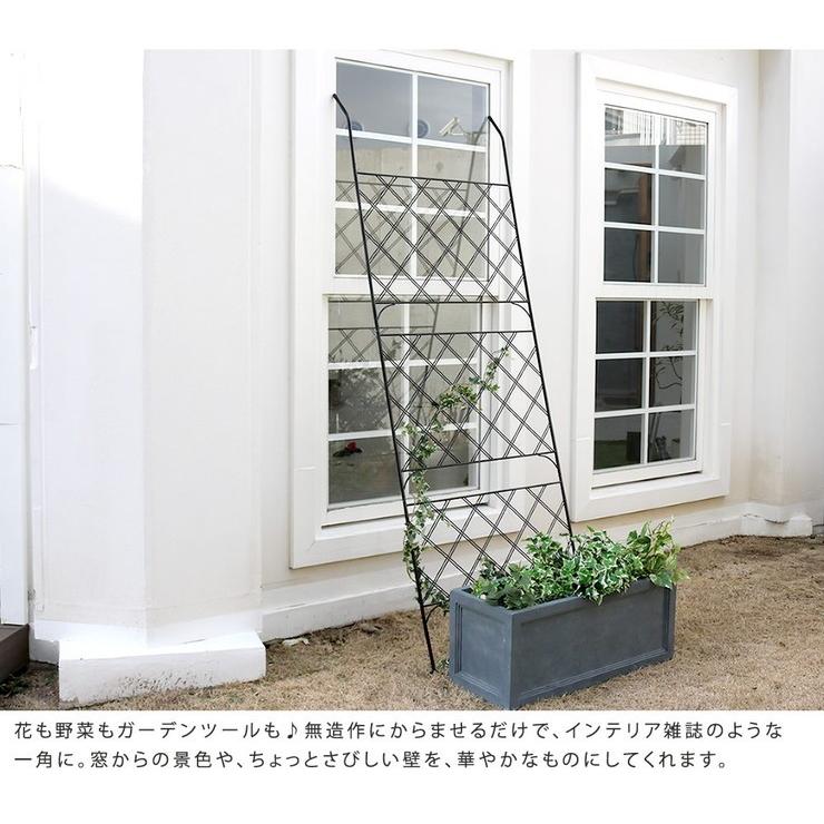 アイアン製グリーンカーテン Argyle アーガイル カーテン グリーンカーテン 菜園 ガーデン 栽培 ガーデニング アンティーク 代引不可の画像
