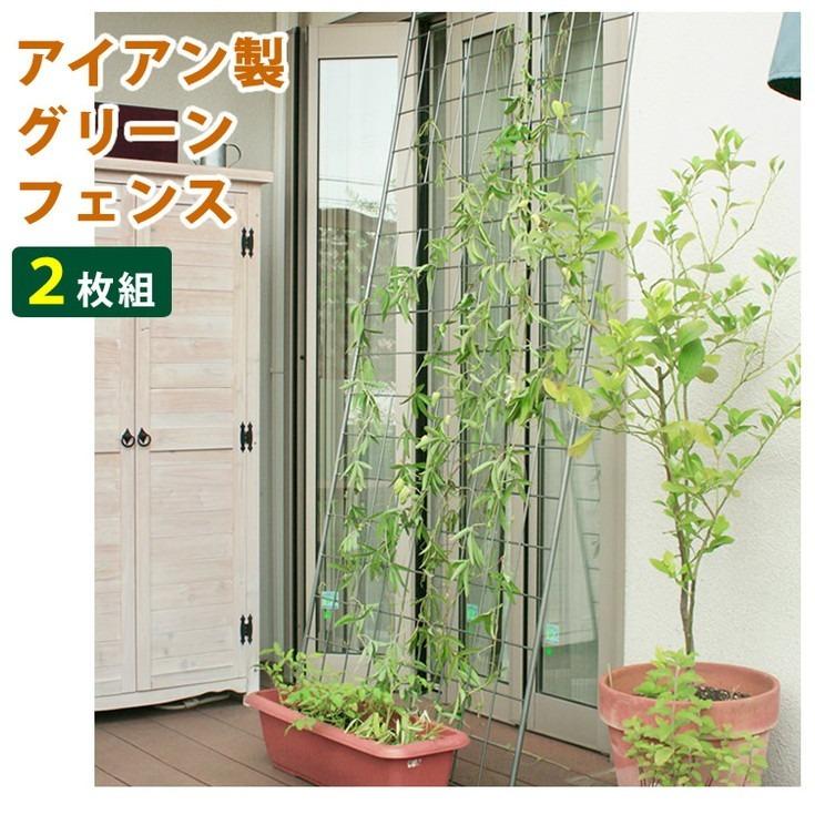 クラシック フェンス 目隠し アイアン アイビーフェンス 2枚組 グリーンカーテン ゴーヤ 薔薇 バラ 朝顔 代引不可 ショッピング価格 Hpnhaiti Com