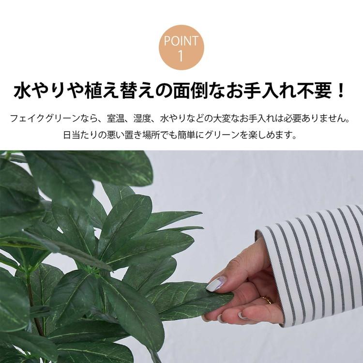 フェイクグリーン カボックツリー 約126cm 抗菌 消臭 観葉植物 フェイク 光触媒 人工観葉植物 インテリア おしゃれ 鉢 植木 葉 枝 木 室内 玄関 代引不可｜recommendo｜04