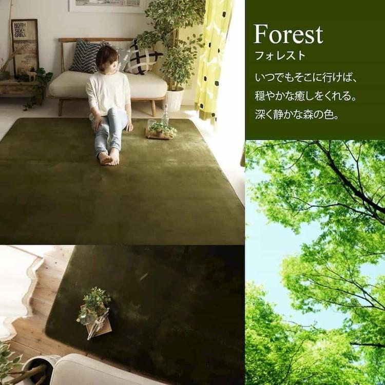ホリデープラス　はっ水 低反発 厚手 ラグ カーペット 洗えるオールシーズン ラグ ラグマット はっ水 ふわとろラグ 低反発 厚手 洗える ホリデー
