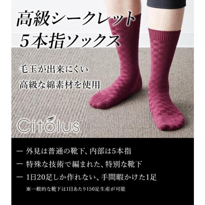 靴下 メンズ シトラス格子総柄 高級シークレット 5本指ソックス 25 28cm メンズソックス 瀬川靴下株式会社 代引不可 リコメン堂 通販 Paypayモール