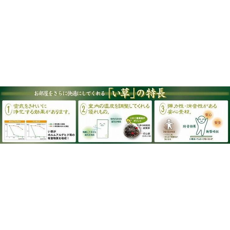 国産い草センターラグ 裏貼り エルモード 約191×191cm BL 代引不可