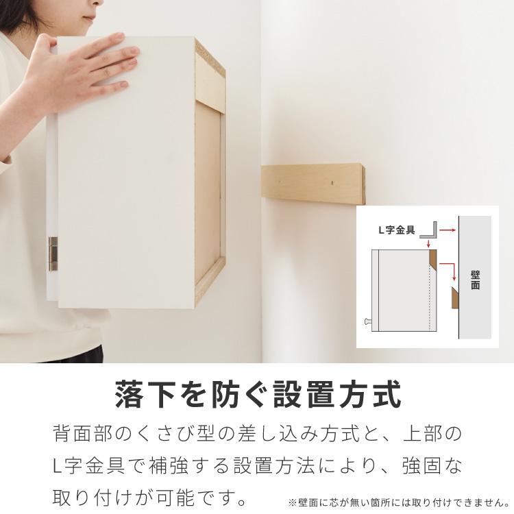 選べる吊戸棚 光沢仕上げ 壁面収納 吊戸棚 幅120 奥行30 完成品 日本製
