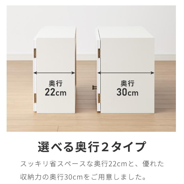 選べる吊戸棚 光沢仕上げ 壁面収納 吊戸棚 幅120 奥行30 完成品 日本製