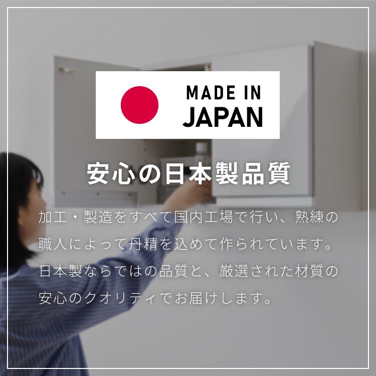 選べる吊戸棚豊富なサイズ 壁面収納 吊戸棚 幅60 奥行30 完成品 日本製