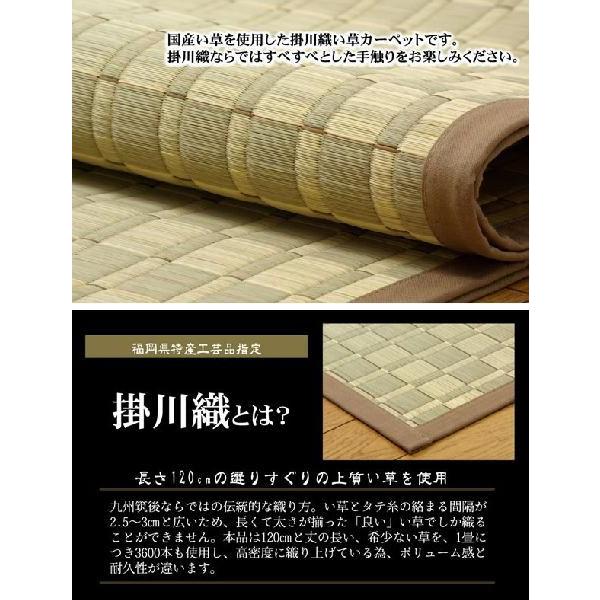純国産 掛川織 い草カーペット 『松川』 ベージュ 本間10畳（約477×382cm）_1