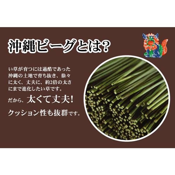 純国産 沖縄ビーグの寝ござ 『ざわわ』 ダブル（約128×200cm） 代引不可_1