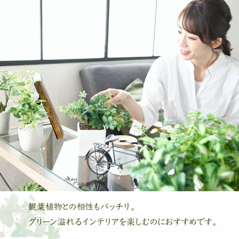 リビングテ 古材 幅90 奥行30 高さ70 観葉植物 飾り棚 代引不可 リコメン堂 通販 Paypayモール ガラス シャビ ラック 2段 フラワースタンド 花台 鉢置き台 室内 木製 インテリア プルなデザ