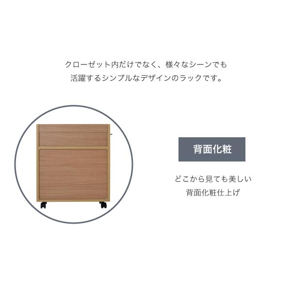 クローゼット ラック 収納 2個セット A4ファイル 幅26 奥行58