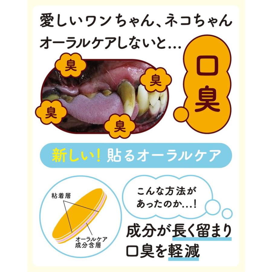 4個セット ペティーナ ペティオーラAD Mサイズ オーラルケア 張る 歯磨き ペット 犬用_1