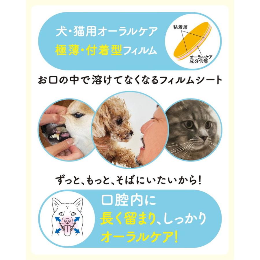 4個セット ペティーナ ペティオーラAD Mサイズ オーラルケア 張る 歯磨き ペット 犬用_4
