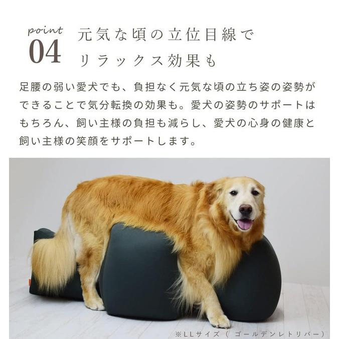 アロン化成 リラクッション DM ブルー 日本製 国産 家族 笑顔 足腰 犬 立位保持 立位 支え 犬の立位保持｜recommendo｜06