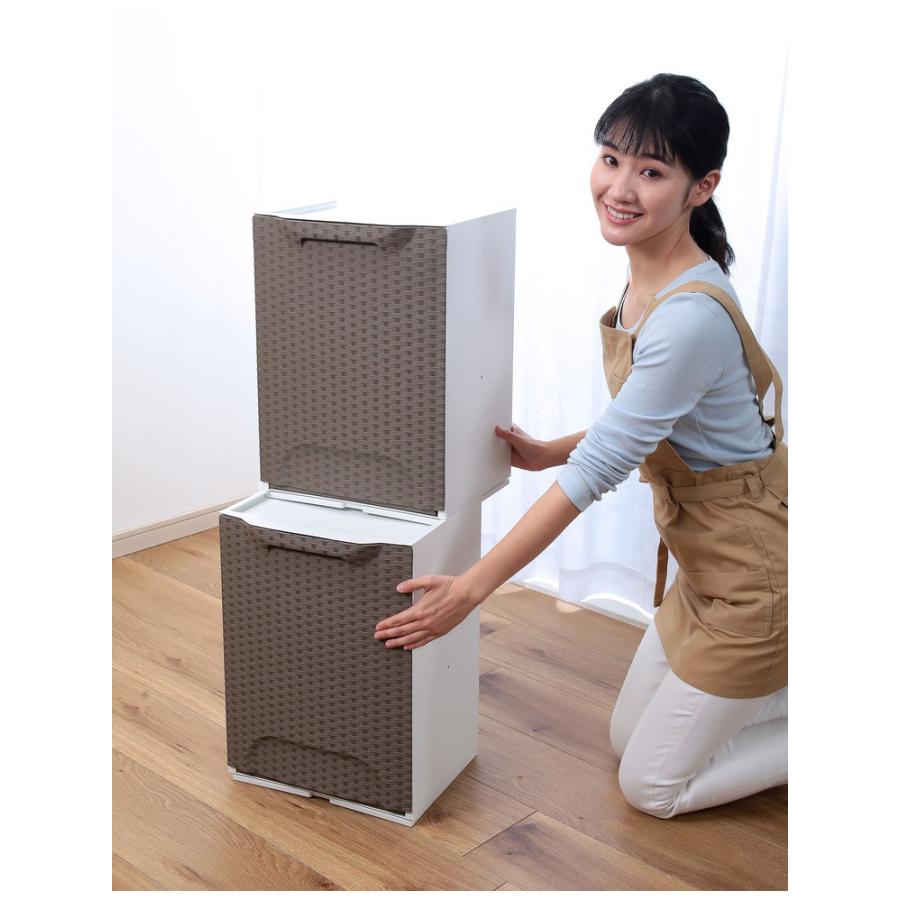 artplast アートプラスト イタリア製 ダストボックス 幅34cm ラタン調