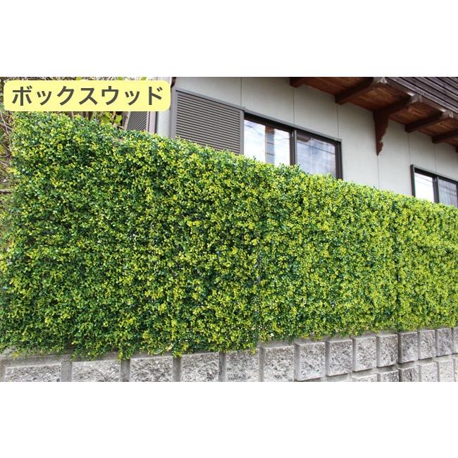 リアルグリーンフェンス 1m×1m ボックスウッド グリーンカーテン リアルグリーンフェンス 1m×1m ボックスウッド グリーンカーテン