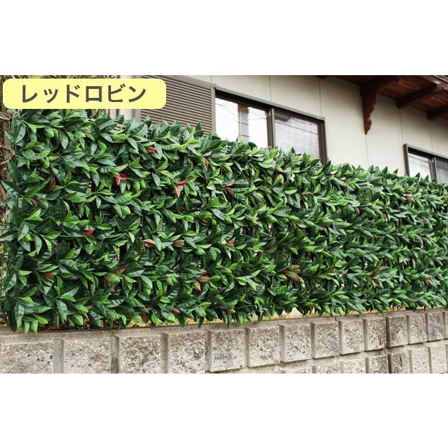 リアルグリーンフェンス 1m×1m ボックスウッド グリーンカーテン リアルグリーンフェンス 1m×1m ボックスウッド グリーンカーテン