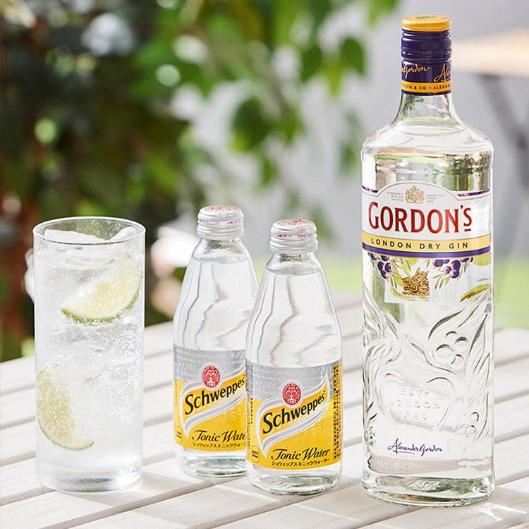 本格ジントニックセット 「ゴードン」ドライジン&トニックウォーター2
