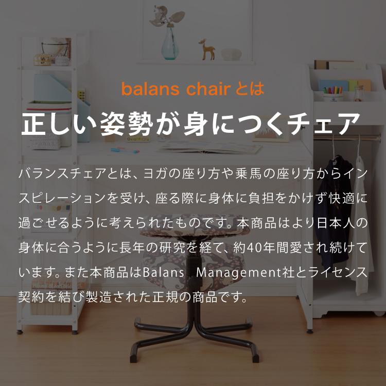 【正規品 3年保証】 balans バランスチェア N5070 姿勢保持 北欧 カバー 取り替えられる イス 椅子 学習机 リモートワーク 在宅 姿勢 学習チェア イス 代引不可の画像