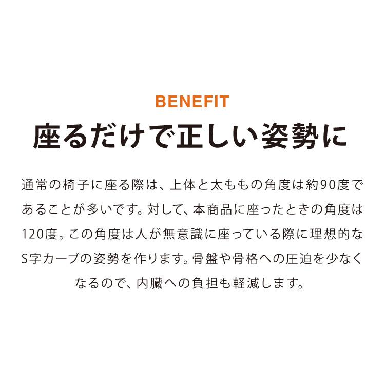 【正規品 3年保証】 balans バランスチェア N5070 姿勢保持 北欧 カバー 取り替えられる イス 椅子 学習机 リモートワーク 在宅 姿勢 学習チェア イス 代引不可の画像