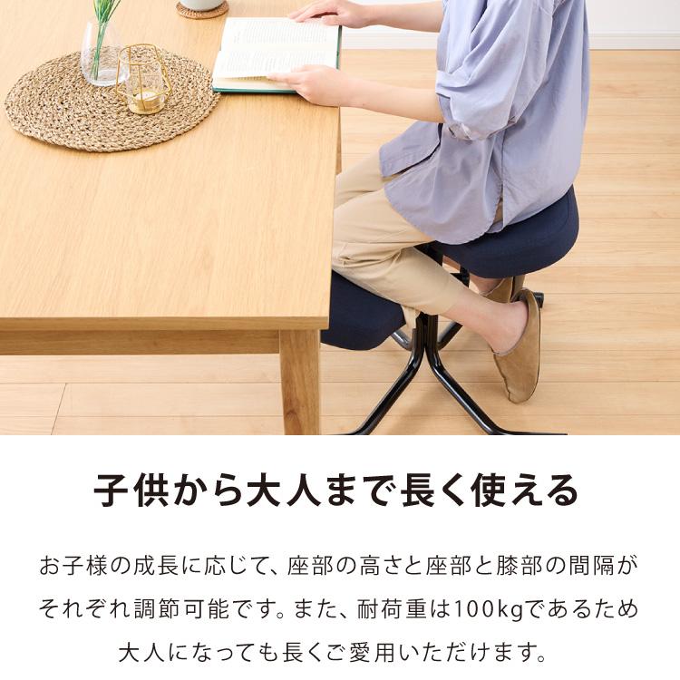 【正規品 3年保証】 balans バランスチェア N5070 姿勢保持 北欧 カバー 取り替えられる イス 椅子 学習机 リモートワーク 在宅 姿勢 学習チェア イス 代引不可の画像