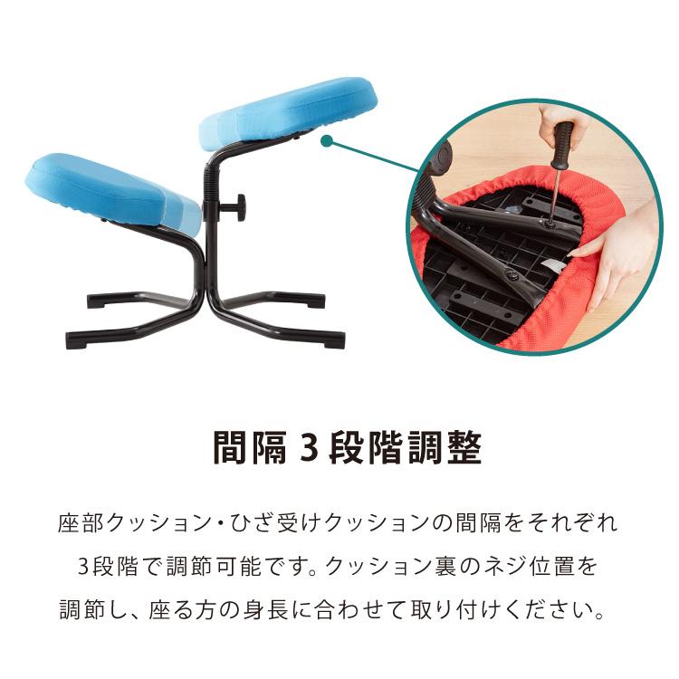【正規品 3年保証】 balans バランスチェア N5070 姿勢保持 北欧 カバー 取り替えられる イス 椅子 学習机 リモートワーク 在宅 姿勢 学習チェア イス 代引不可の画像