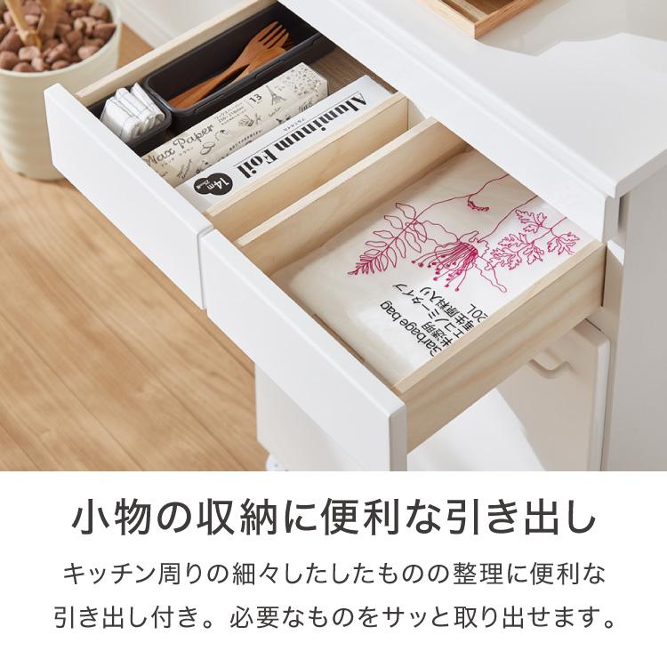 スライド棚付きダストボックス 分別 大容量 2分別 ごみ箱 ゴミ箱 幅55