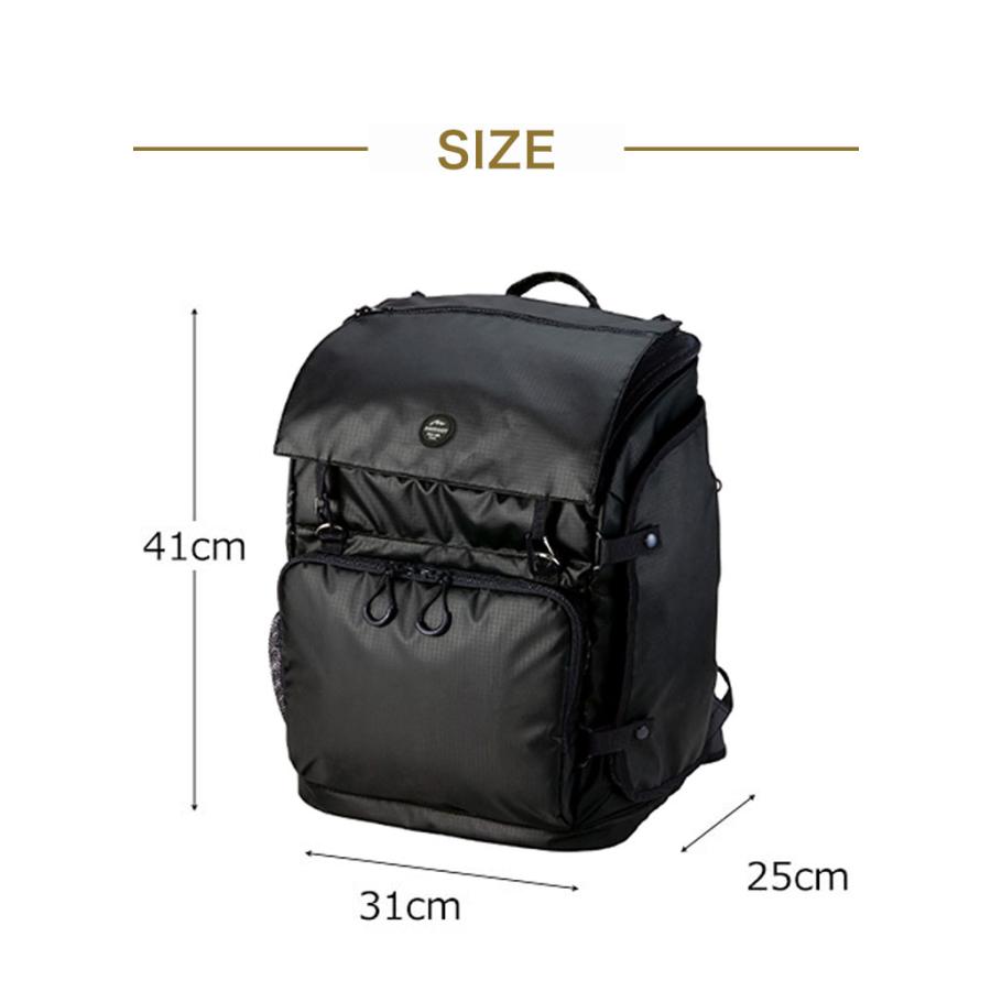 AIRBUGGY 3WAY BACKPACK CARRIER レギュラー エアバギー バックパック