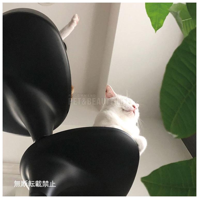 OPPO オッポ キャットフォレスト オプション バケットシェルフ BucketShelf キャットタワー 猫タワー スリムの画像