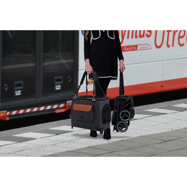 ロイヤルテイルズ アリス 多機能 ペットカート バッグ 折りたたみ 多頭