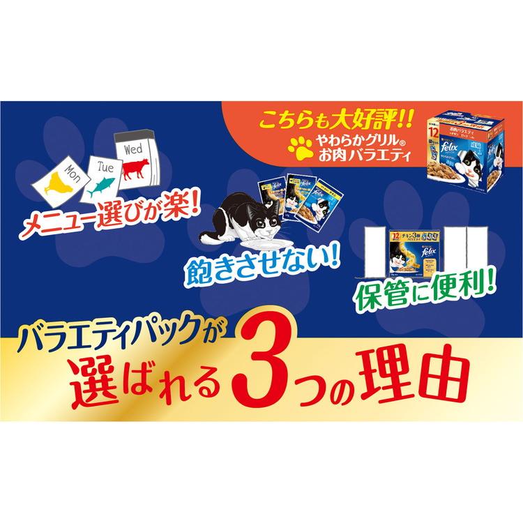4個セット ネスレ フィリックスパウチ 成猫 チキン3種バラエティ 50g