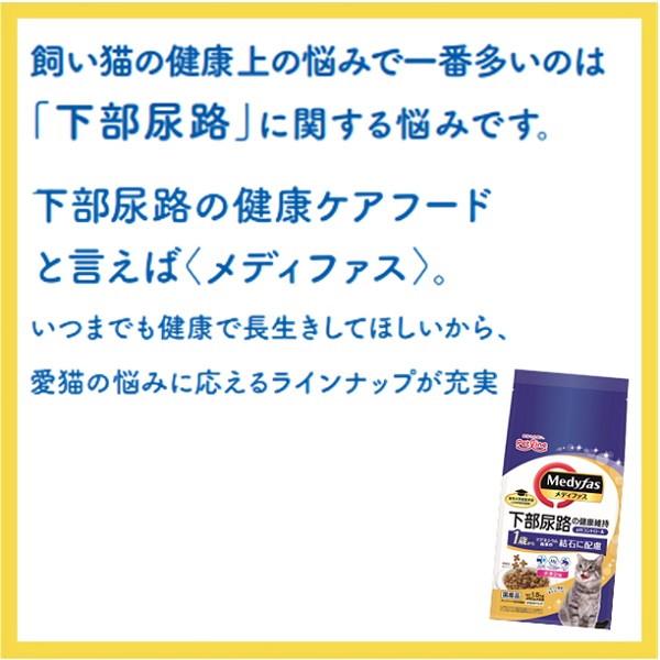 ペットライン メディファス 7歳から チキン味 6kg 500g×12｜recommendo｜03