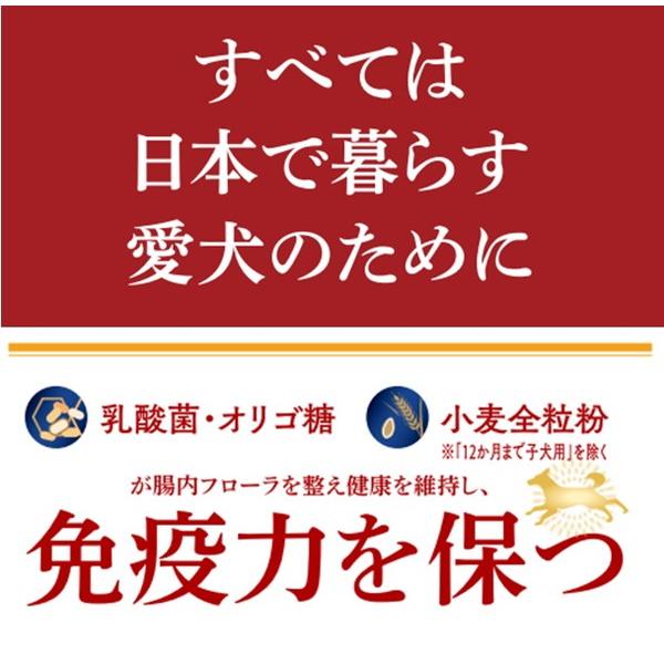 ペットライン JPスタイル和の究み 小粒 12か月まで子犬用 1.8kg 300g×6｜recommendo｜04