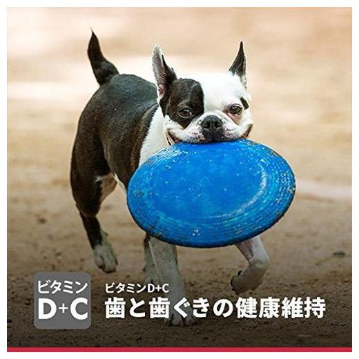 日本ヒルズ・コルゲート サイエンス・ダイエット アダルト 小型犬用 成犬用 3kg｜recommendo｜07