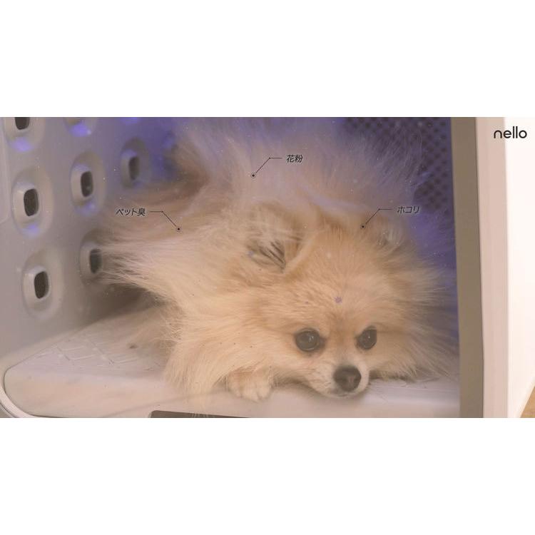 Haru ペットドライルーム nello ミント PD-B10-M ペットルーム Haru ペットドライルーム nello ミント PD-B10-M ペットルーム