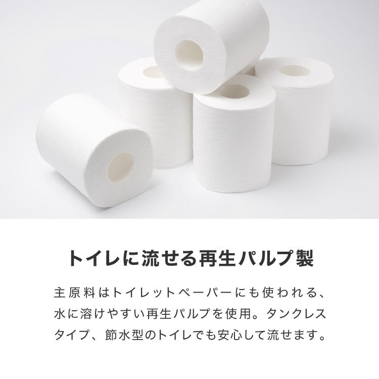 猫砂 紙 紙砂 60L 12L×5袋 日本製 国産 色が変わる 消臭 固まる 流せる トイレに流せる 燃やせる レビュー&報告でペット用ボディーシート3点プレゼント｜recommendo｜10