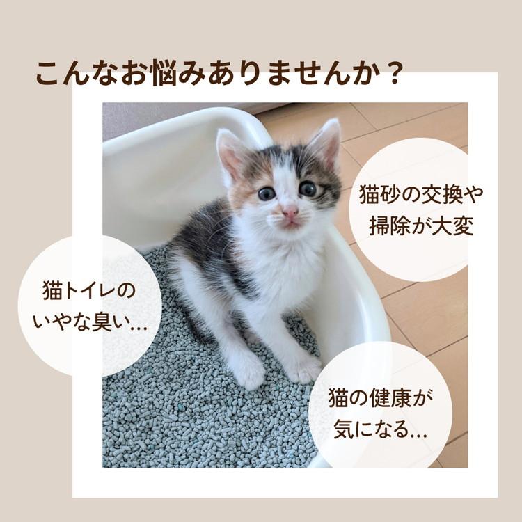 マルカン ナクラム 全自動猫トイレ 猫用トイレ 猫トイレ 自動 静音 消