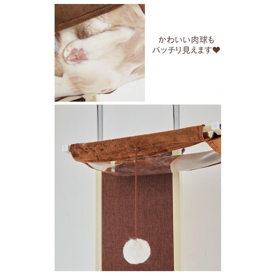 ボンビアルコン キャットウォークモダン 爪とぎ キャットタワー 猫