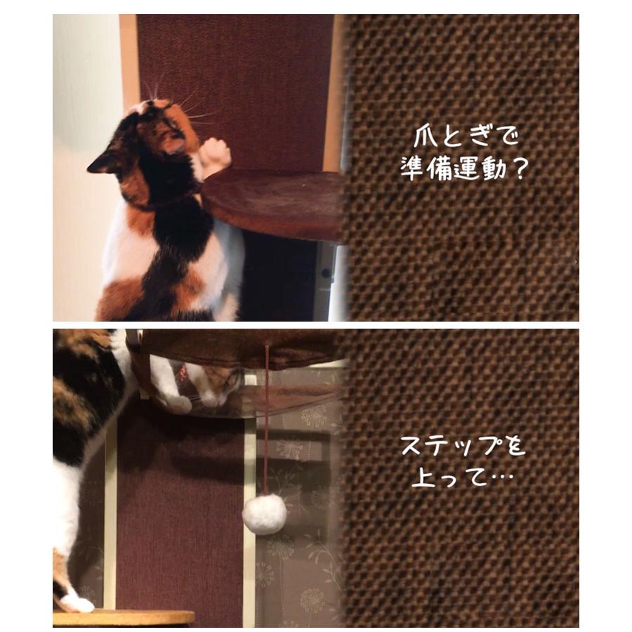 ボンビアルコン キャットウォークモダン 爪とぎ キャットタワー 猫