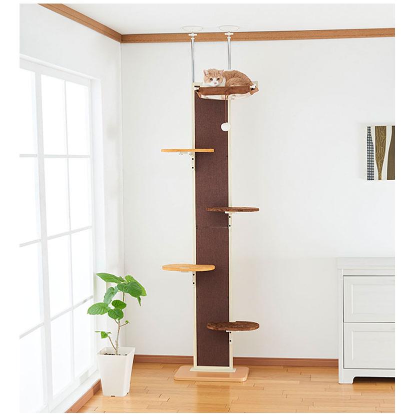 ボンビアルコン キャットウォークモダン 爪とぎ キャットタワー 猫