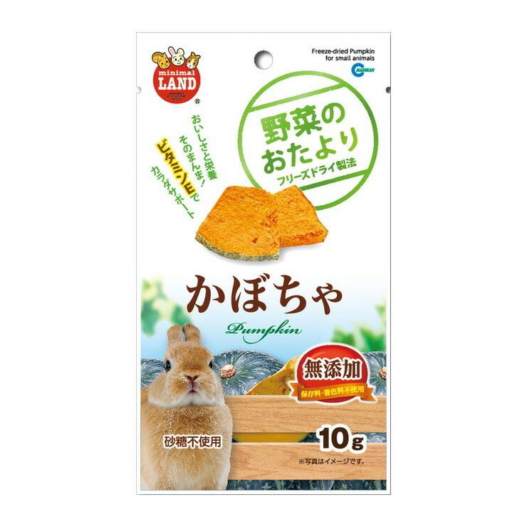 マルカン 野菜のおたより かぼちゃ 10g 小動物用 餌 ペットフード おやつ うさぎ モルモット ハムスター リス チンチラ リコメン堂 通販 Paypayモール