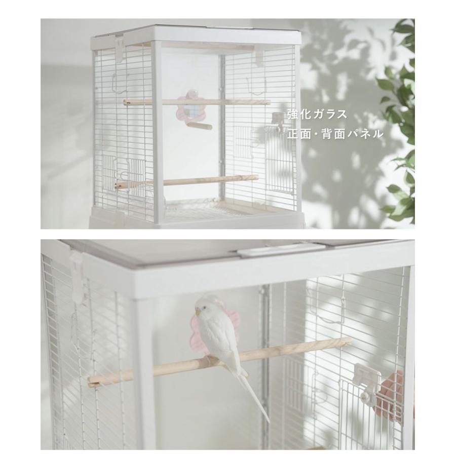 マルカン 鳥かご ケージ クリアスクリーン 40 ガラス ガラス製 クリア