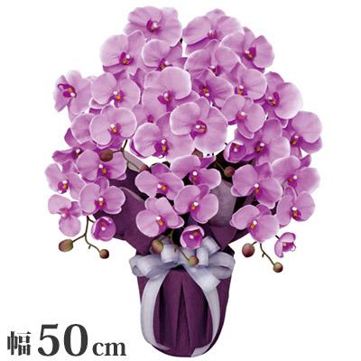 エレガント胡蝶蘭5本立L 観葉植物 インテリア 光触媒 装飾