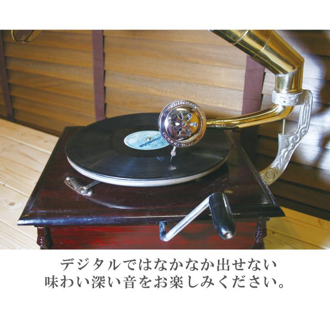 蓄音機クラシック グラモフォーン 音楽 レコード レコード 蓄音機クラシック グラモフォーン 音楽 レコード レコード