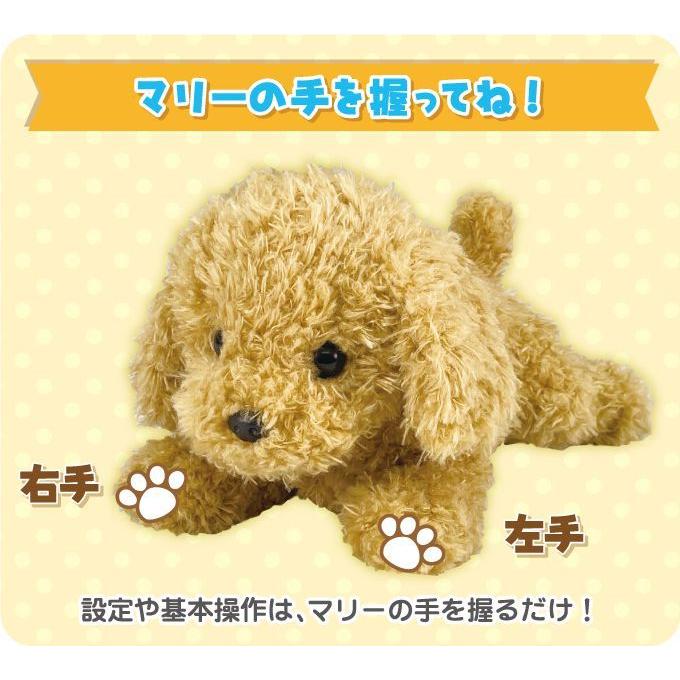 正規品 お歌とお話し大好き 代引不可 しゃべる ぬいぐるみ ペット いぬ 犬 おりこうマリー ぬいぐるみ Www Daidometal Com