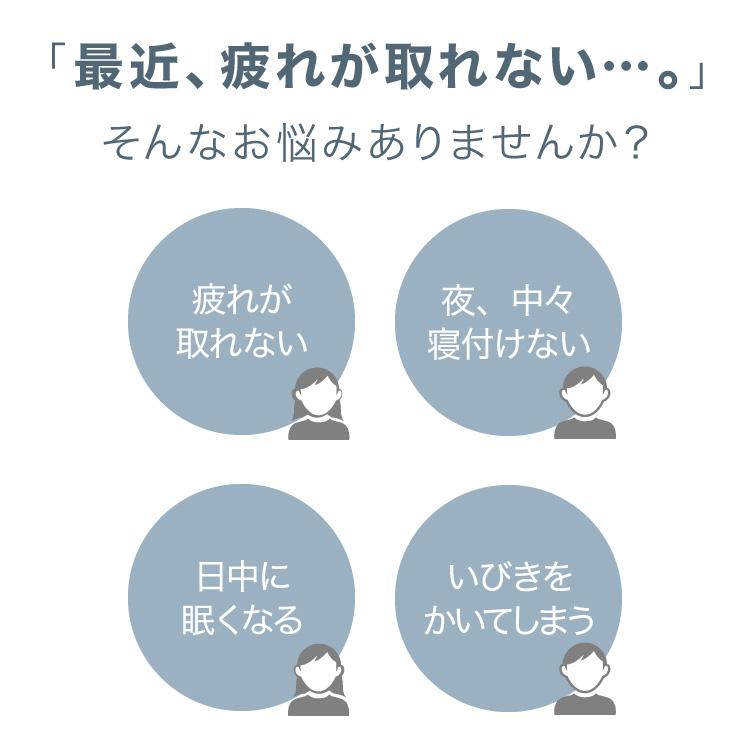 抱き枕 日本製 テイジン製中綿使用 ボディクッション 接触冷感カバー付き ブルー 接触冷感 ひんやり カバー付き 洗える | ブルー | 02