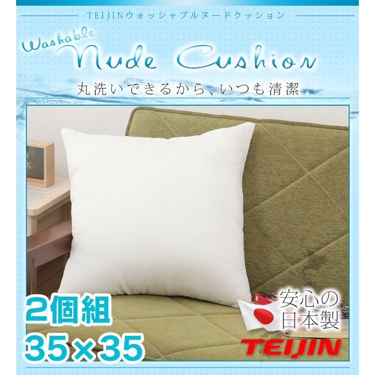 TEIJIN（テイジン） クッション 35x35cm 2個組 テイジン製中綿使用
