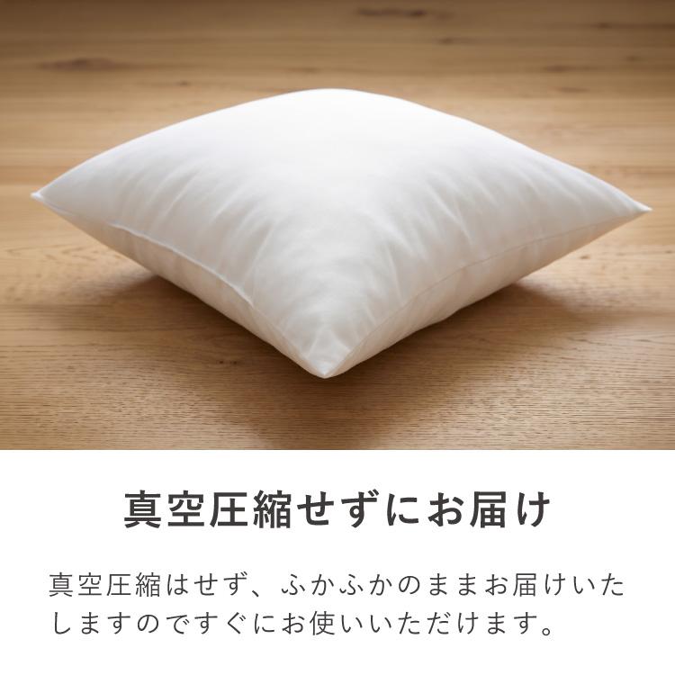 ヌードクッション 60×60 2個セット 日本製 洗える テイジン中綿使用