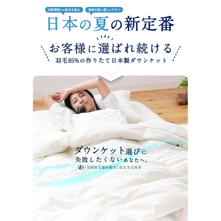 【エコダウン使用】春夏秋用　羽毛布団　シングル　ダウン0.4kg 2枚セット ダウンケット 2枚セット 洗える 日本製 85% 0.4kg 羽毛肌掛けふとん
